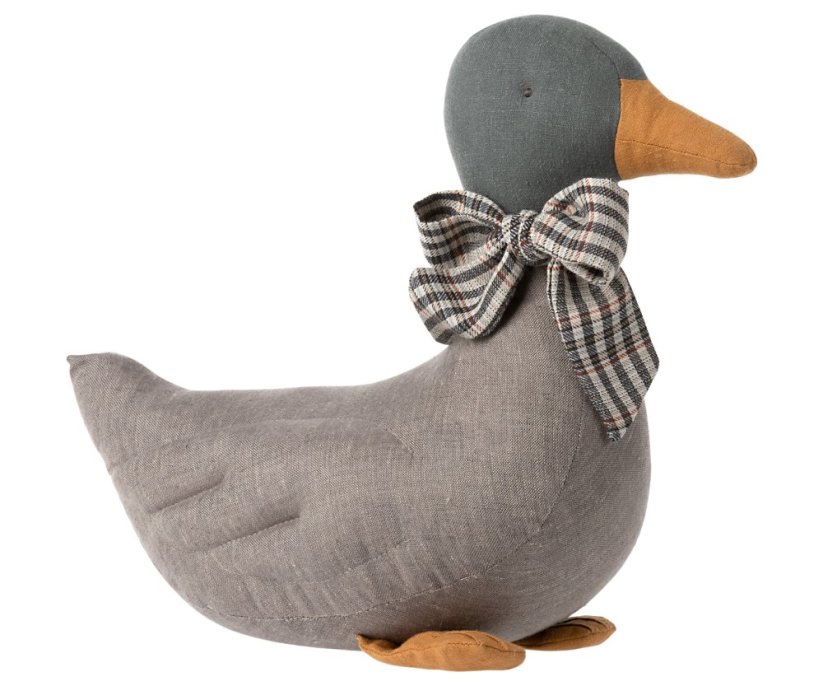 Kačička Grey