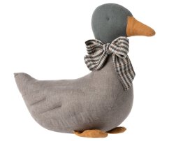 Kačička Grey